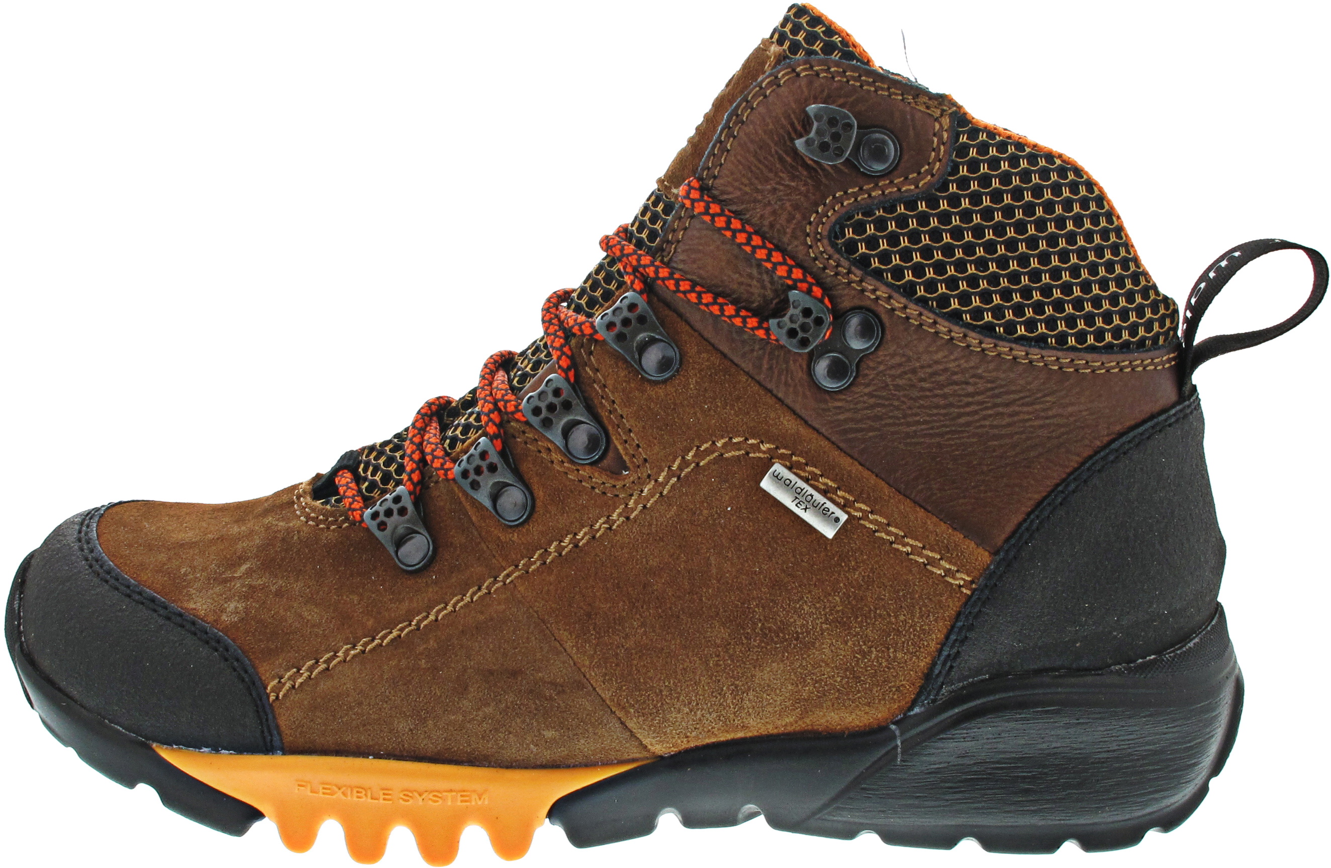 Waldläufer H-Amiata