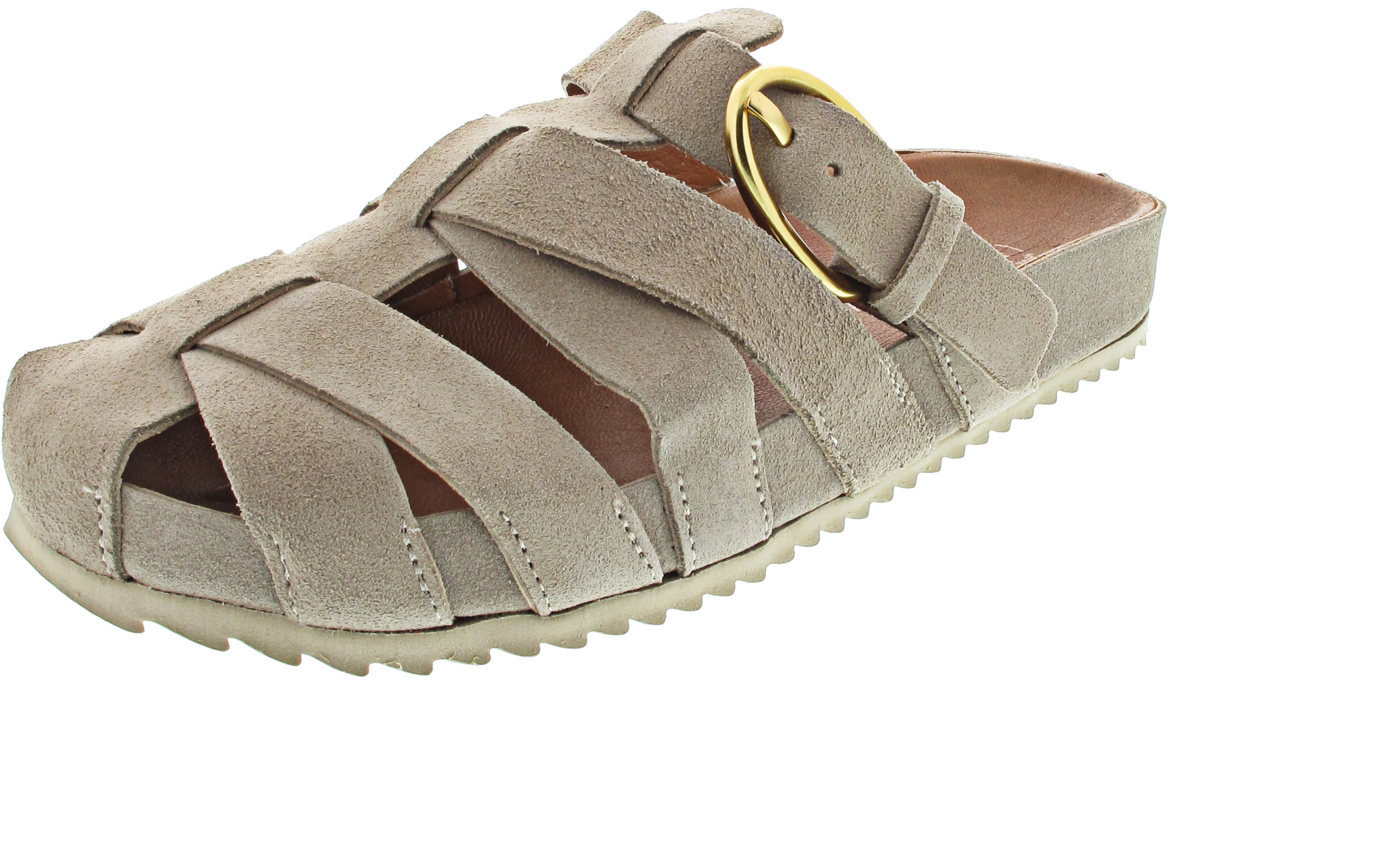 Verbenas Maven Serraje