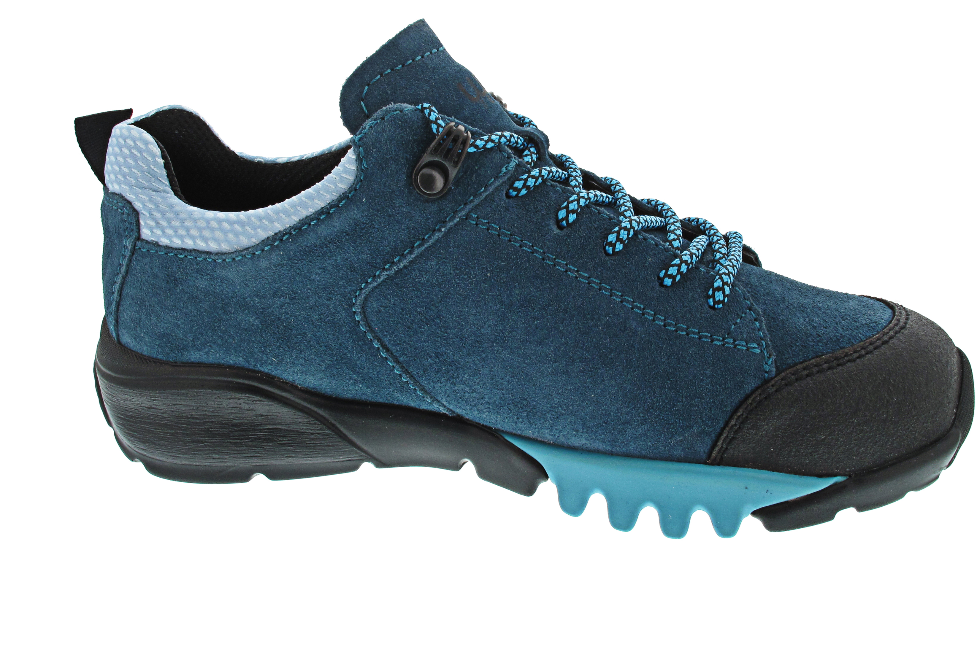 Waldläufer H-Amiata