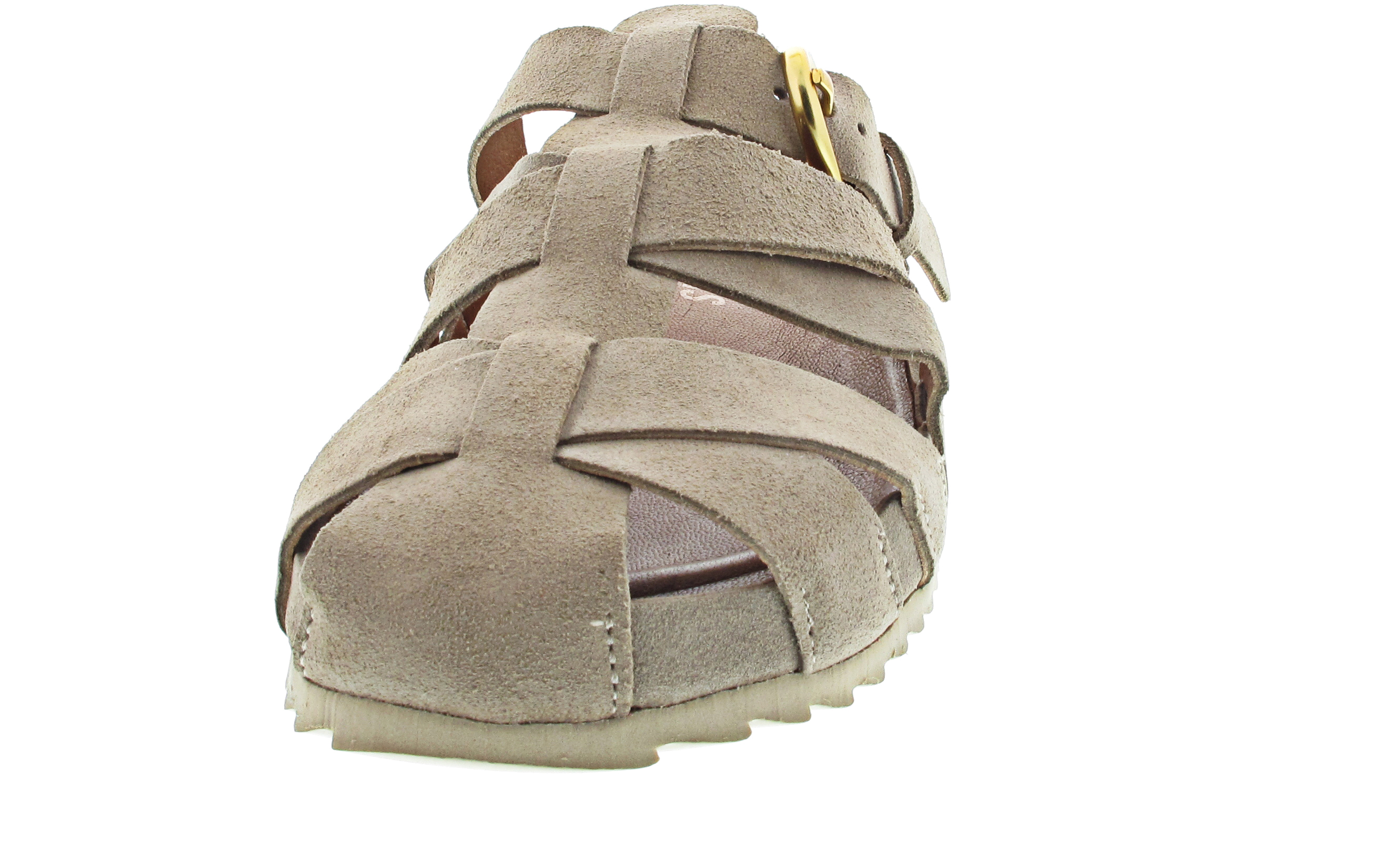 Verbenas Maven Serraje