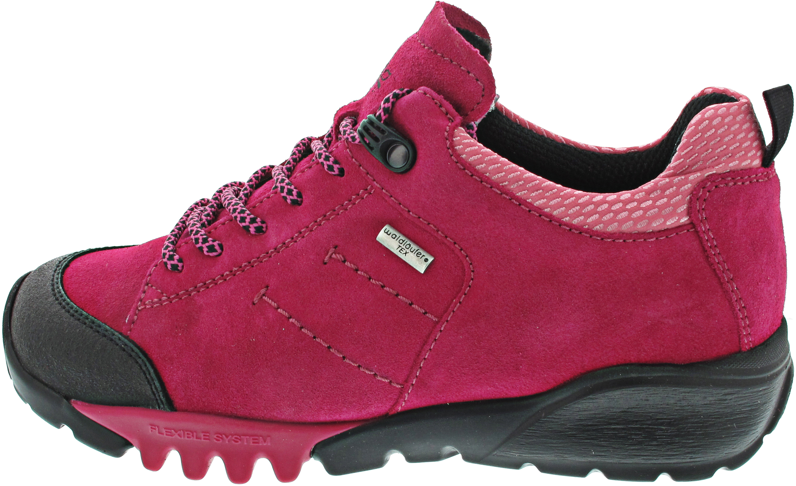 Waldläufer H-Amiata