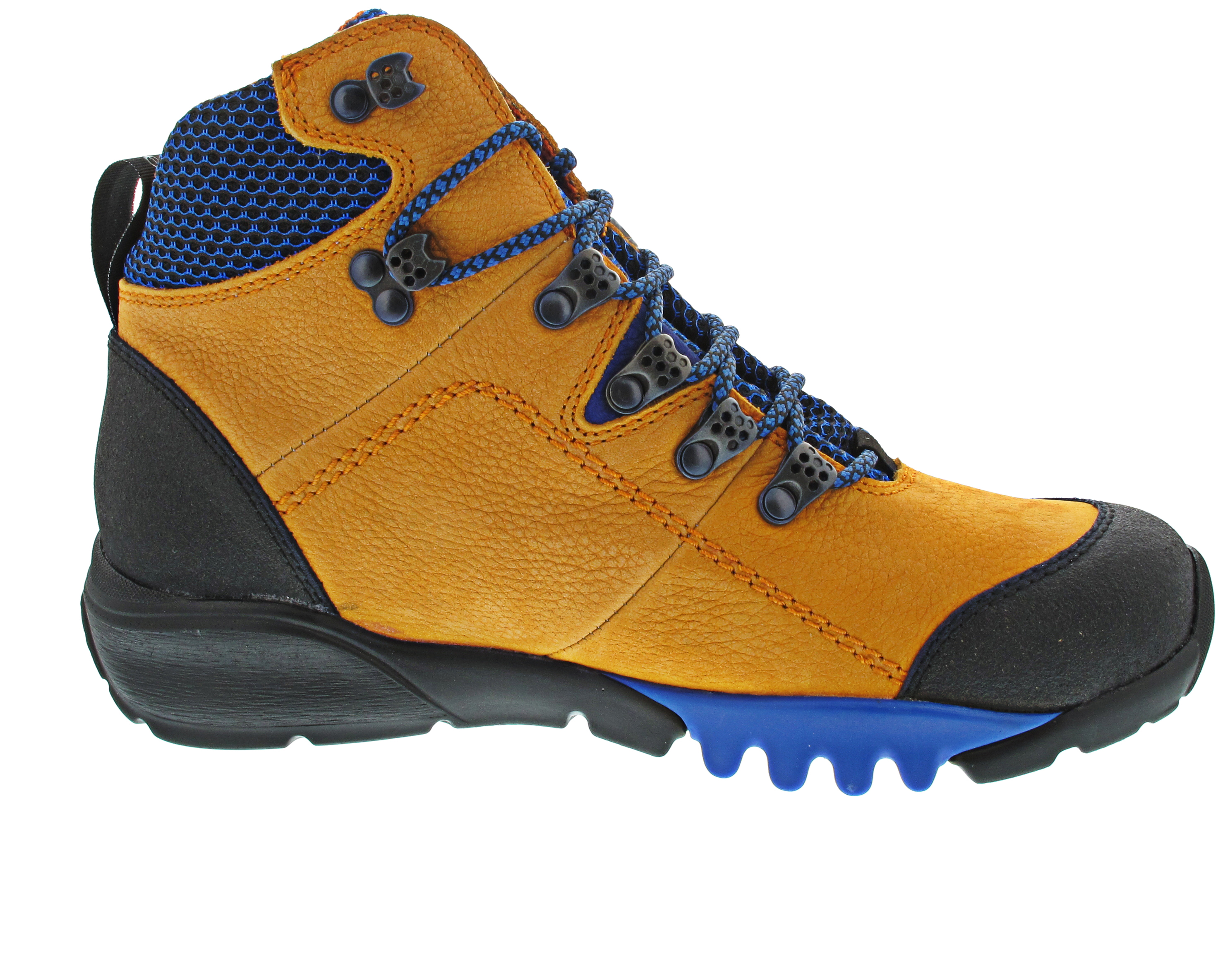 Waldläufer H-Amiata