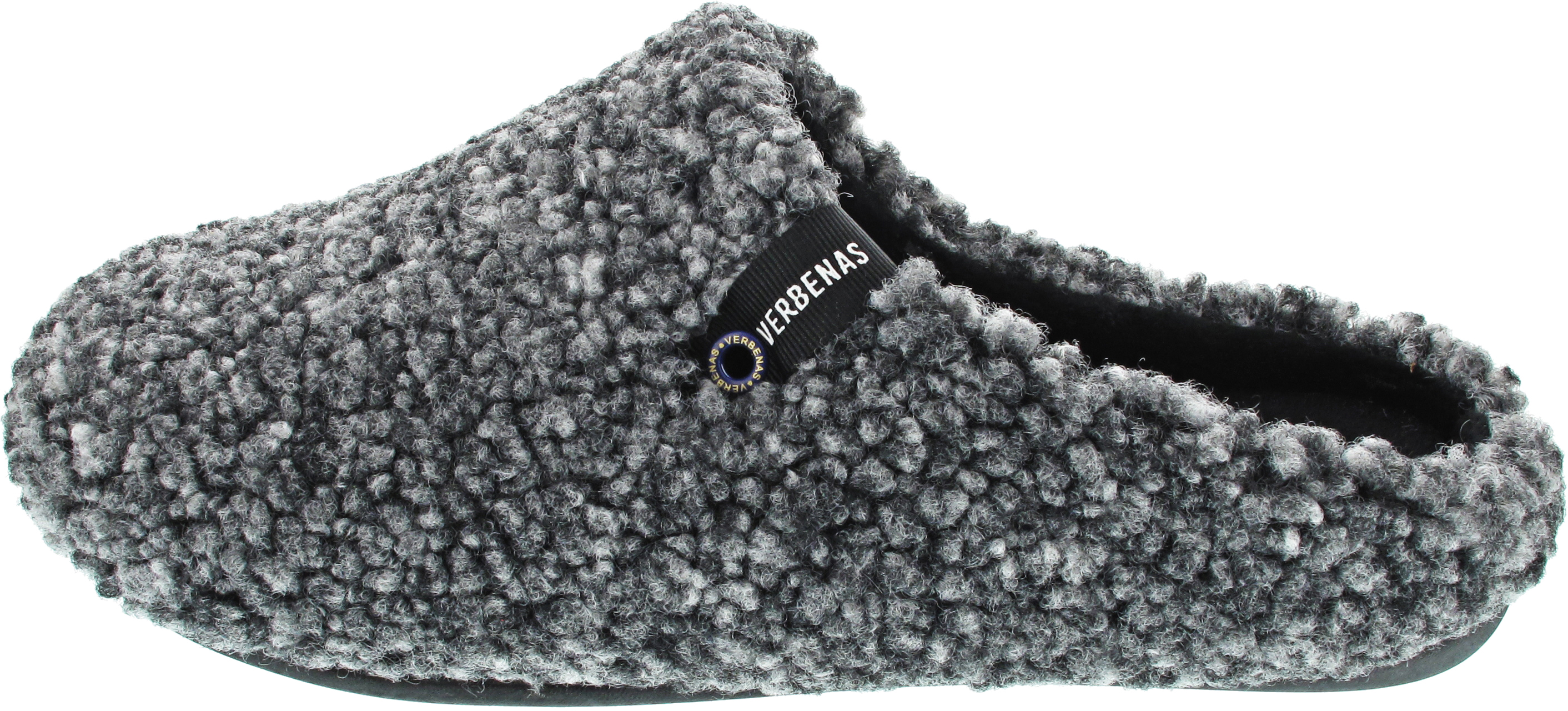 Verbenas Eagle Borrego Wash