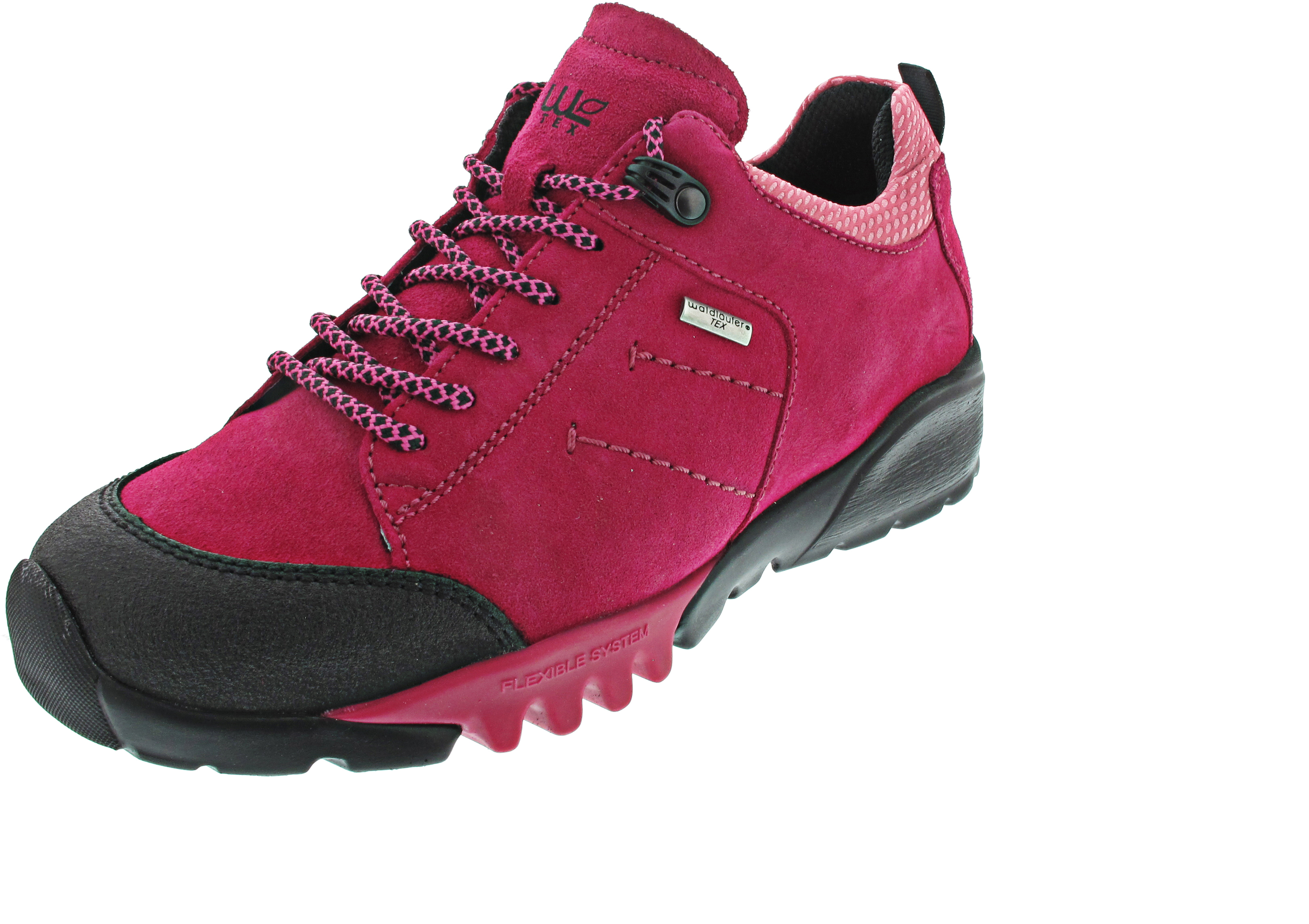 Waldläufer H-Amiata