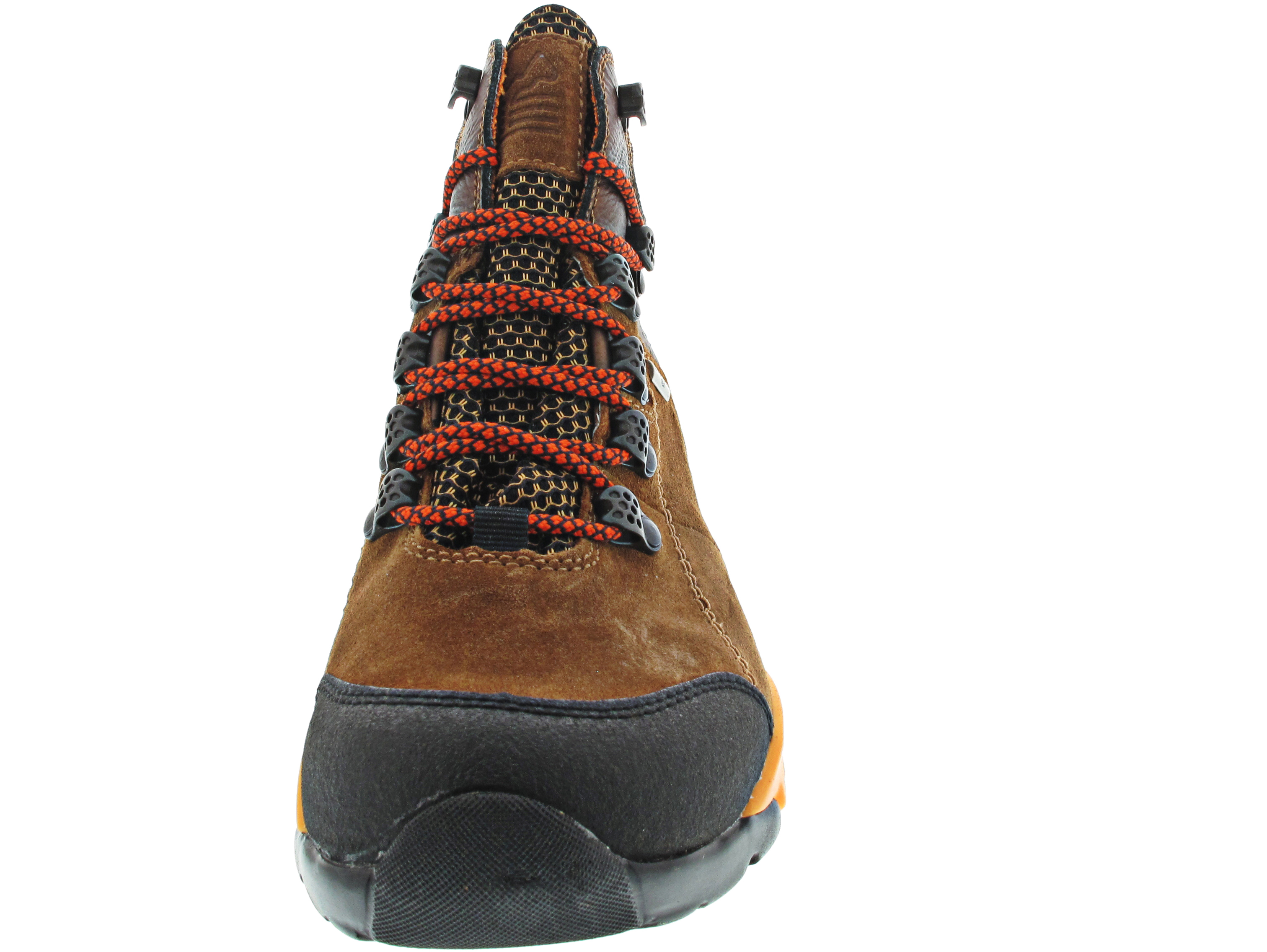 Waldläufer H-Amiata