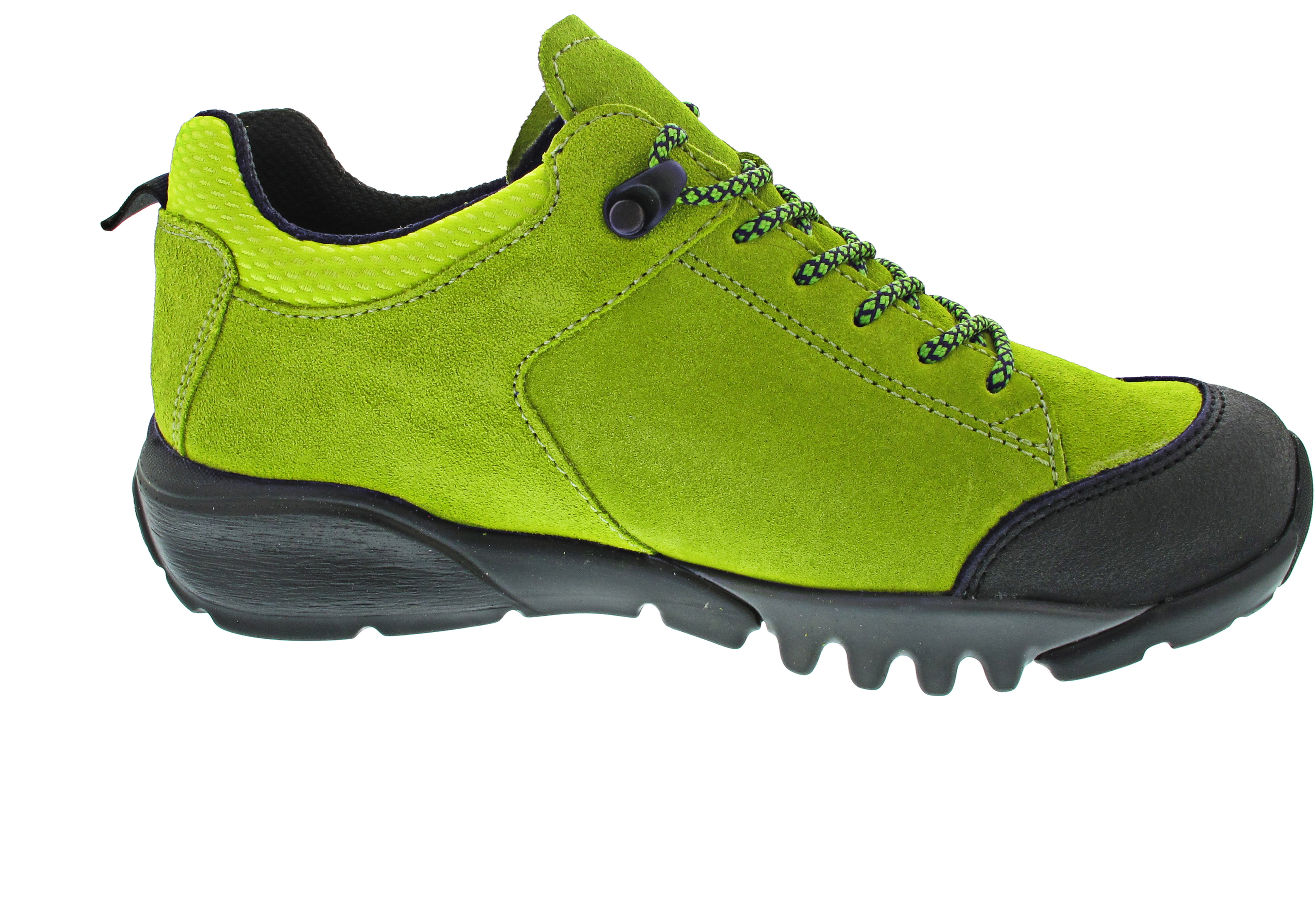 Waldläufer H-Amiata