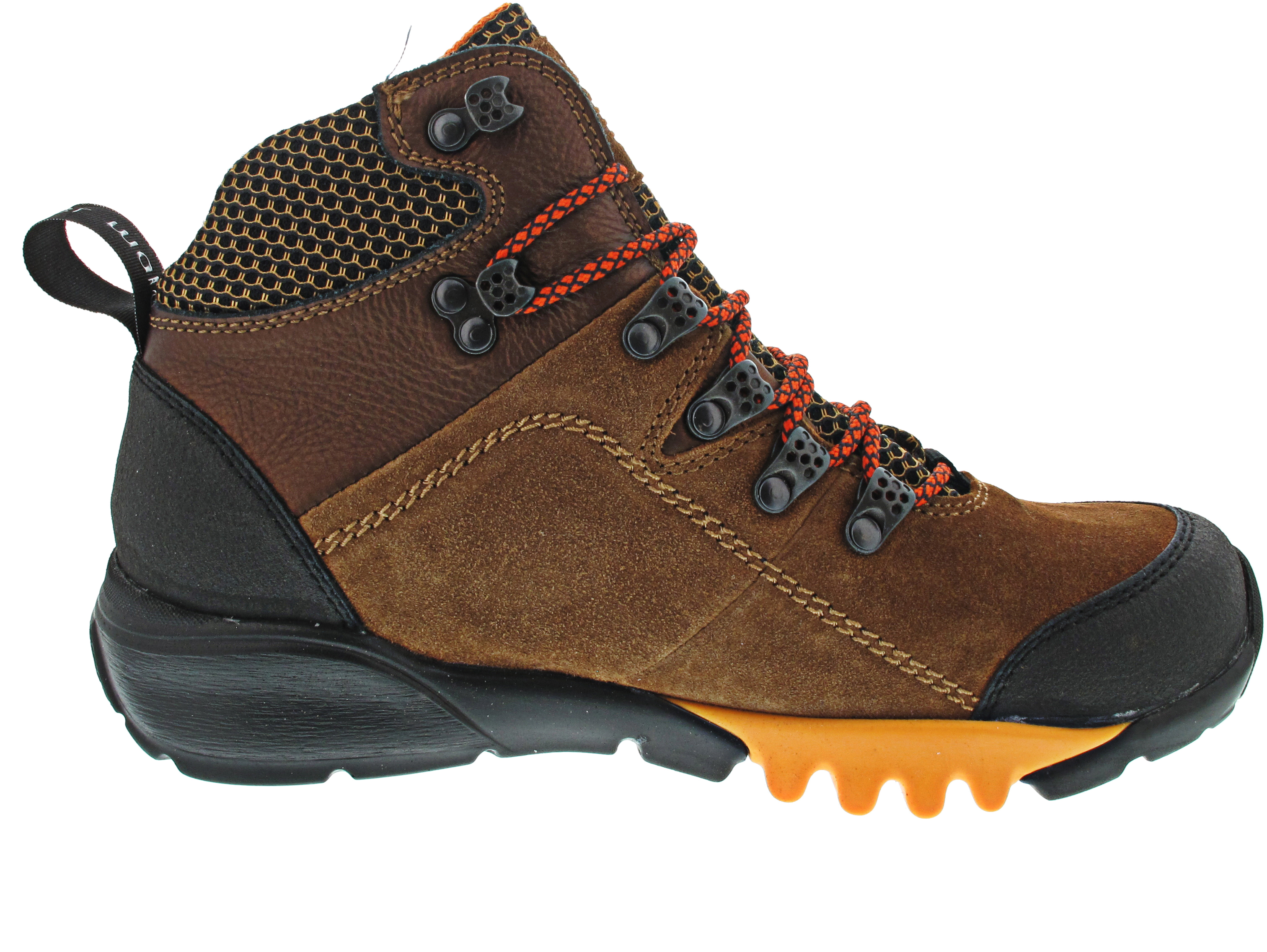 Waldläufer H-Amiata