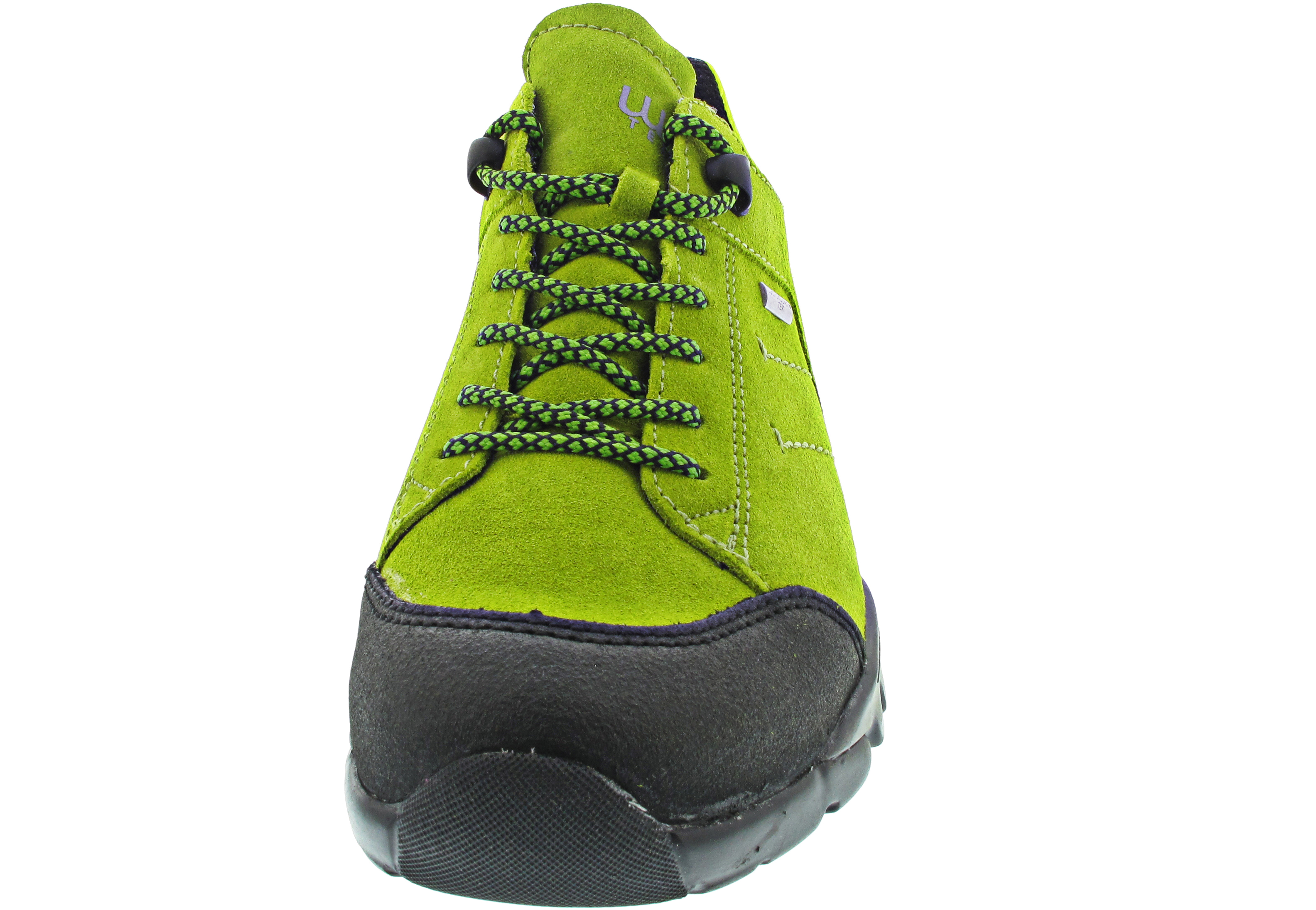 Waldläufer H-Amiata