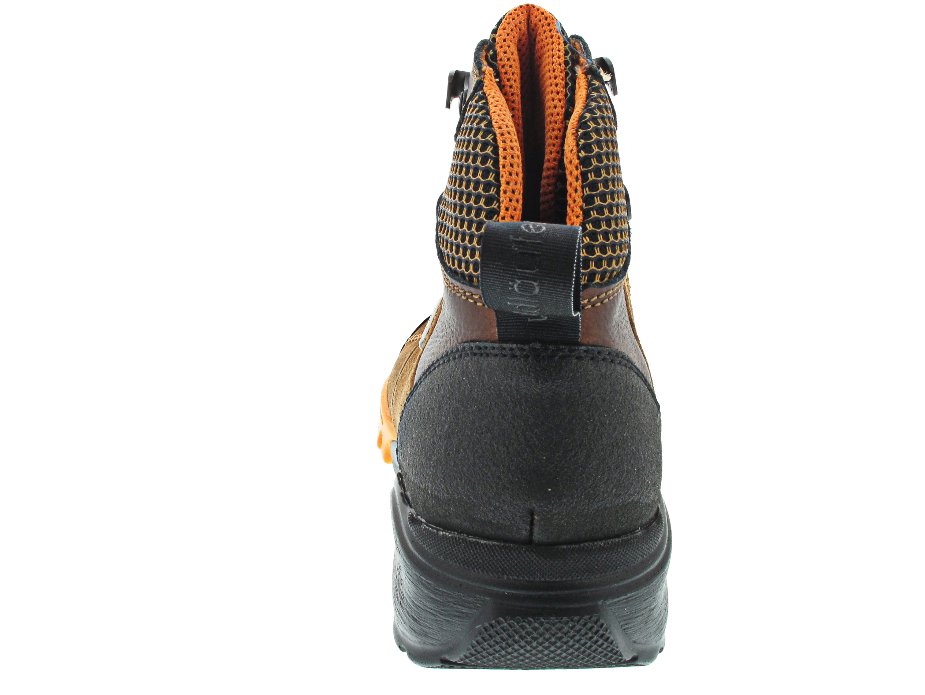 Waldläufer H-Amiata