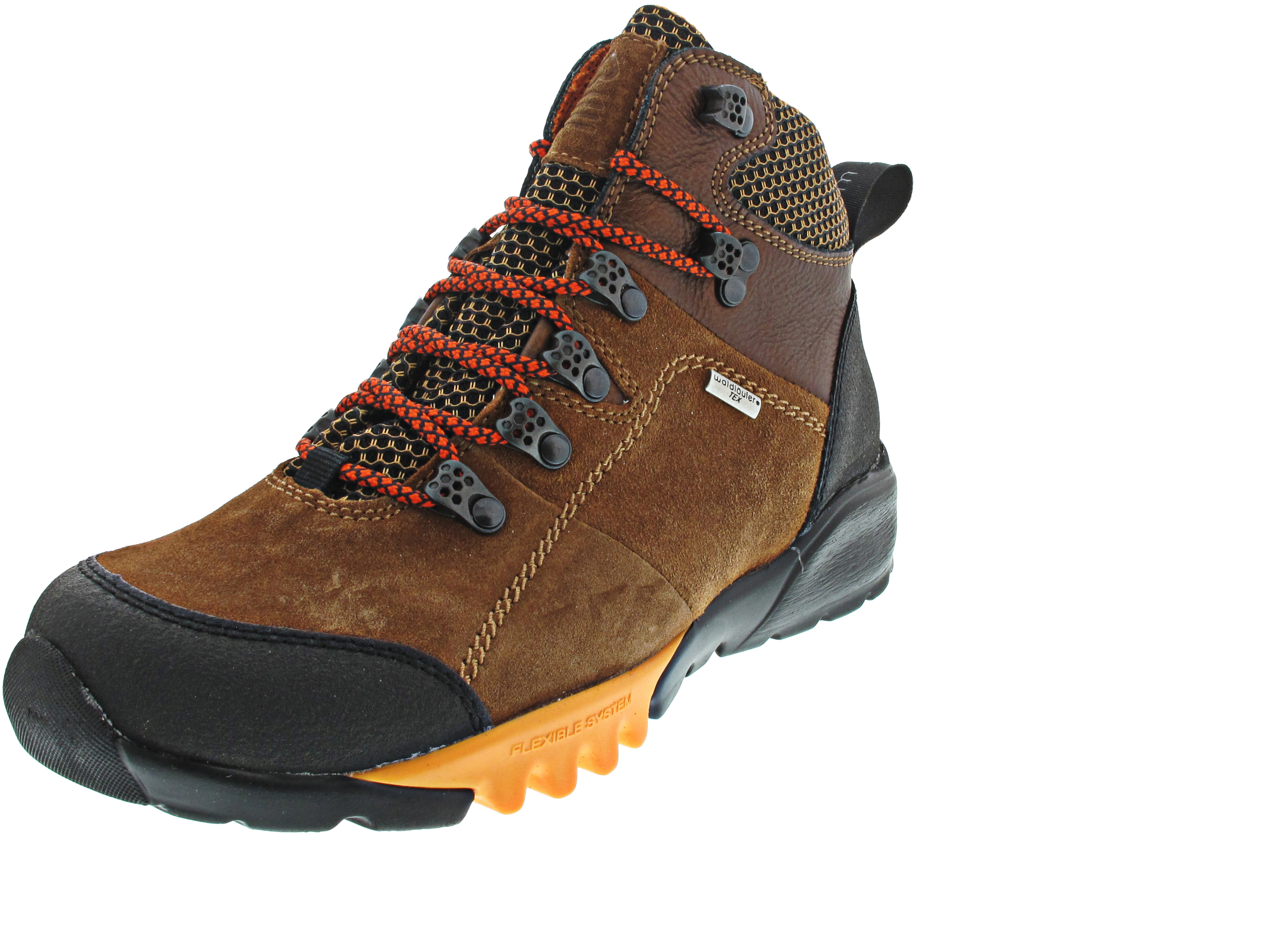 Waldläufer H-Amiata