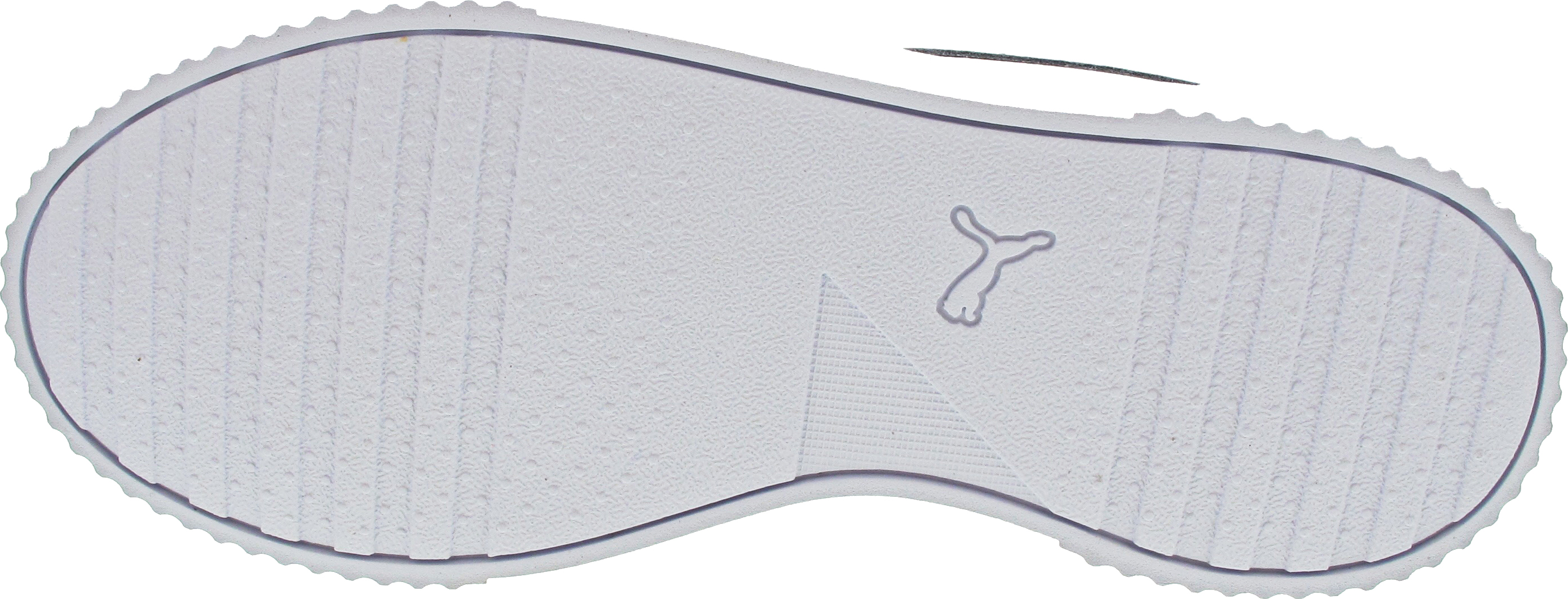 Puma Carina L Jr