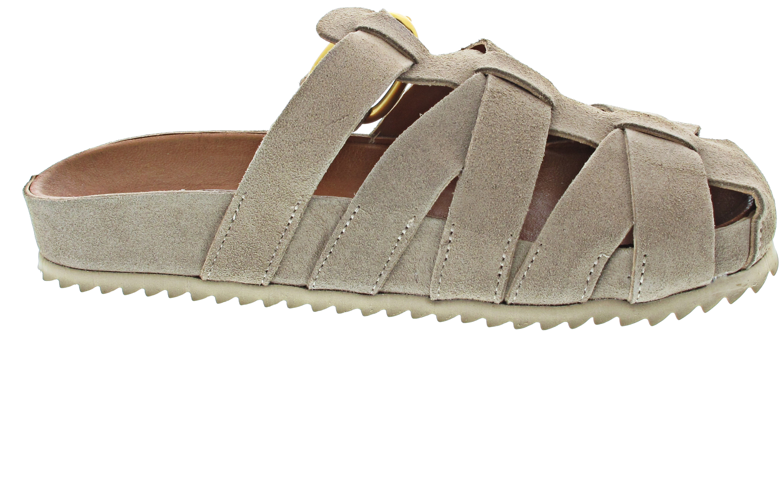 Verbenas Maven Serraje