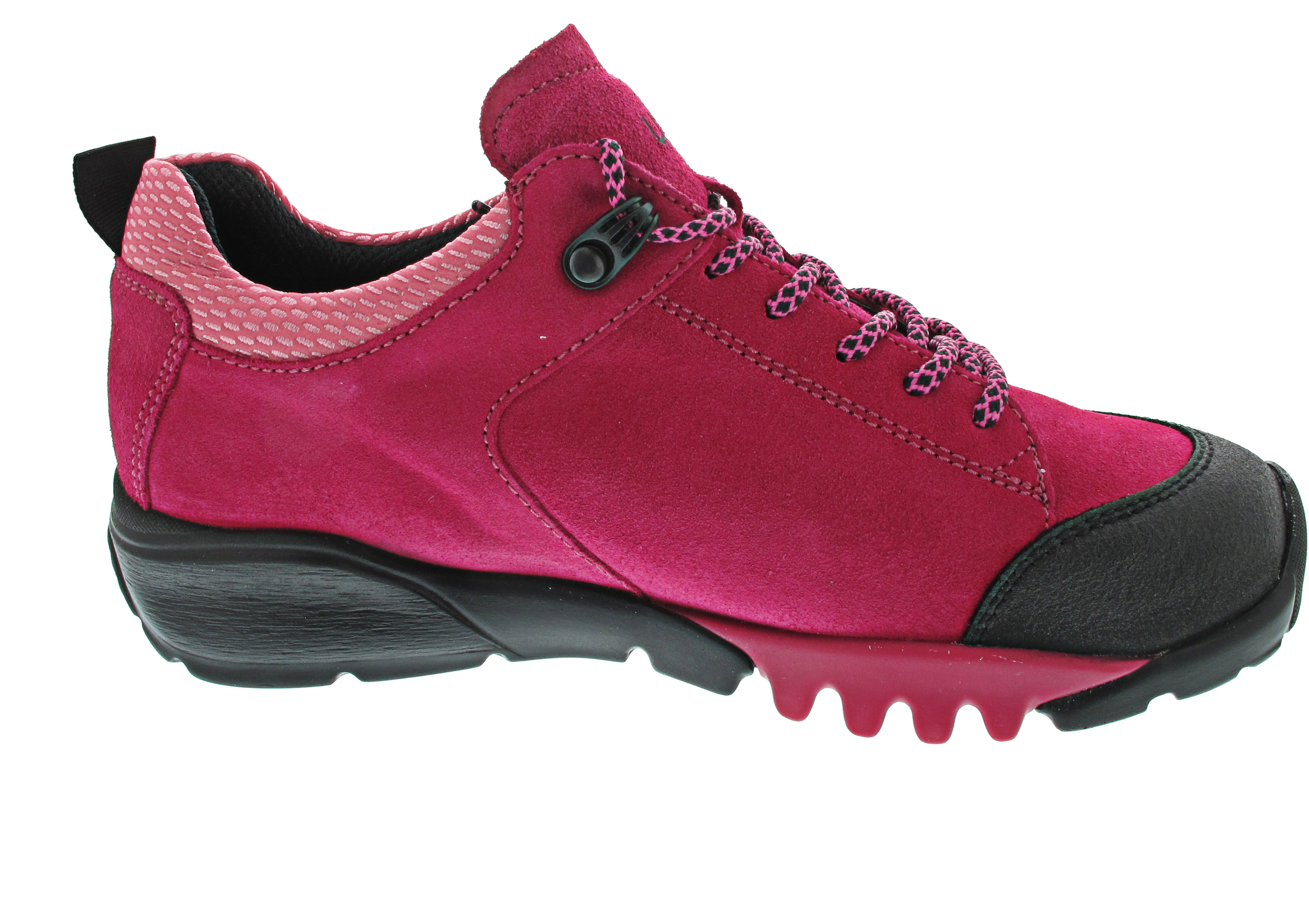 Waldläufer H-Amiata