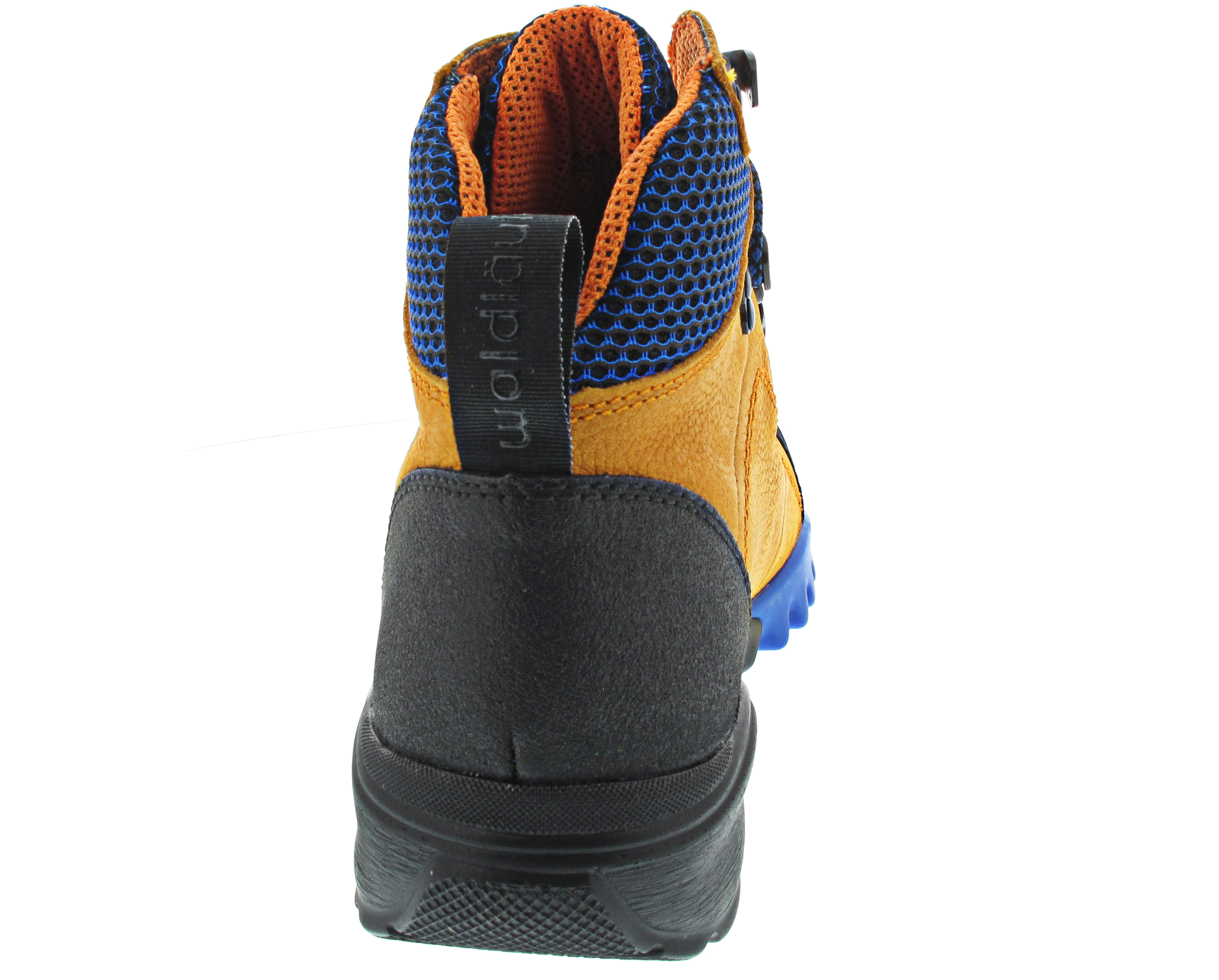 Waldläufer H-Amiata