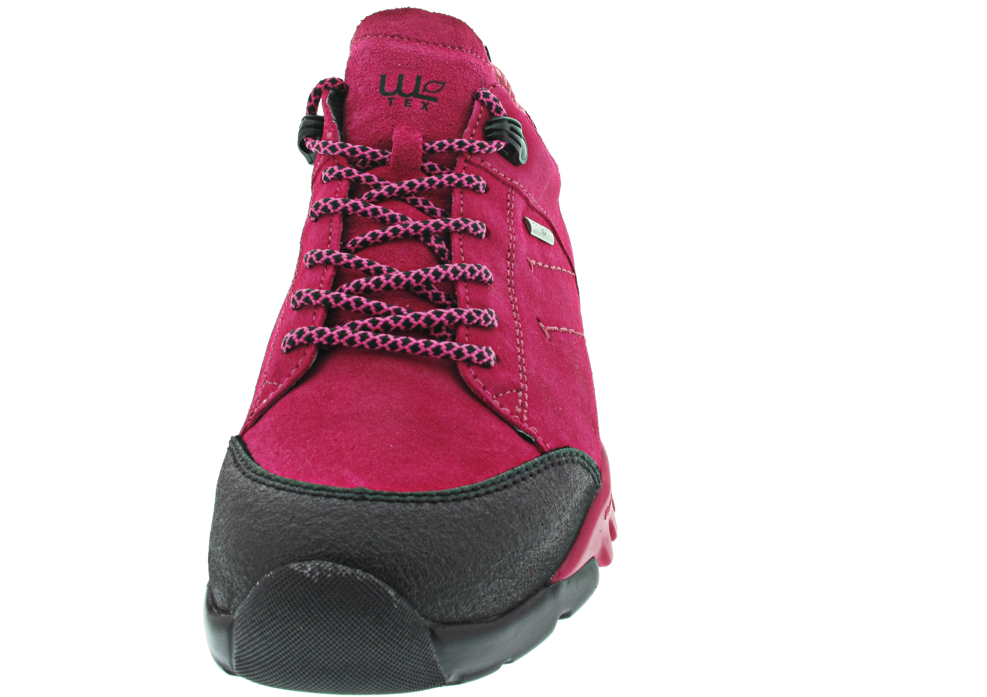 Waldläufer H-Amiata