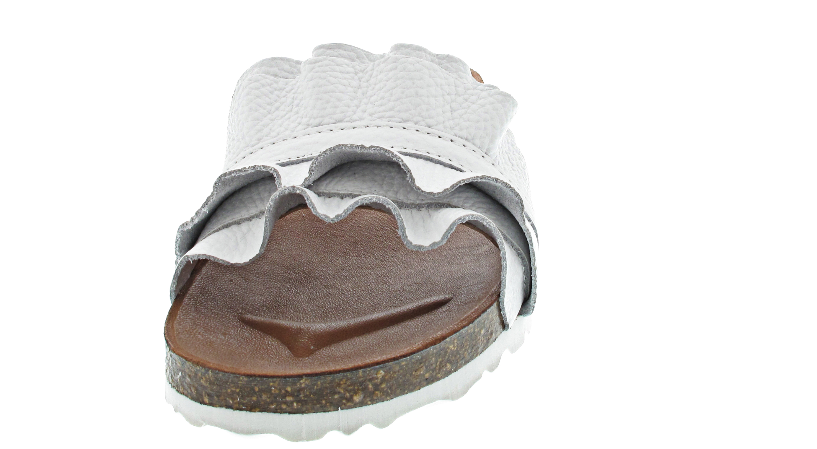 Verbenas Rocio Nucleo Volante