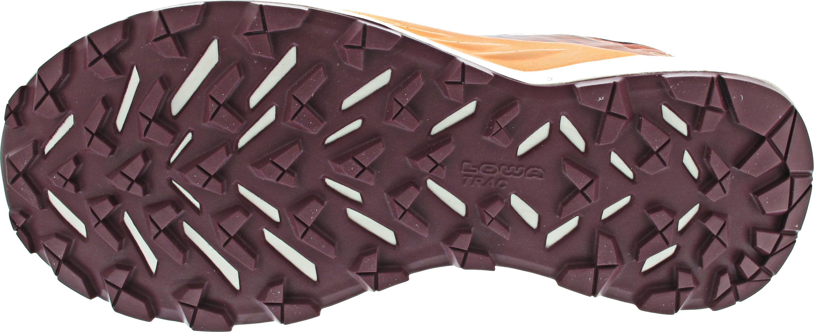 Lowa Amplux 2 GTX Ws