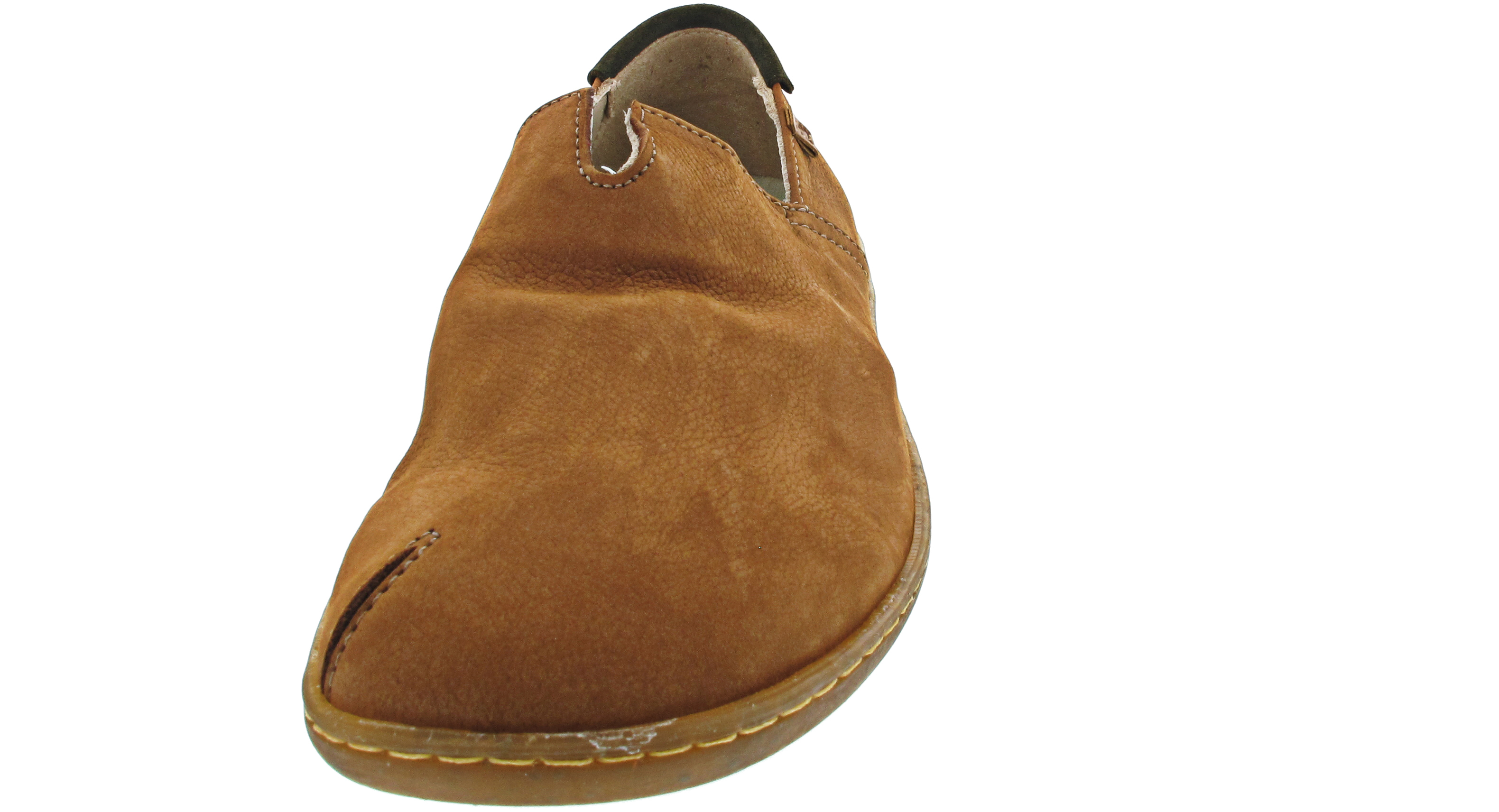 El Naturalista El Viajero