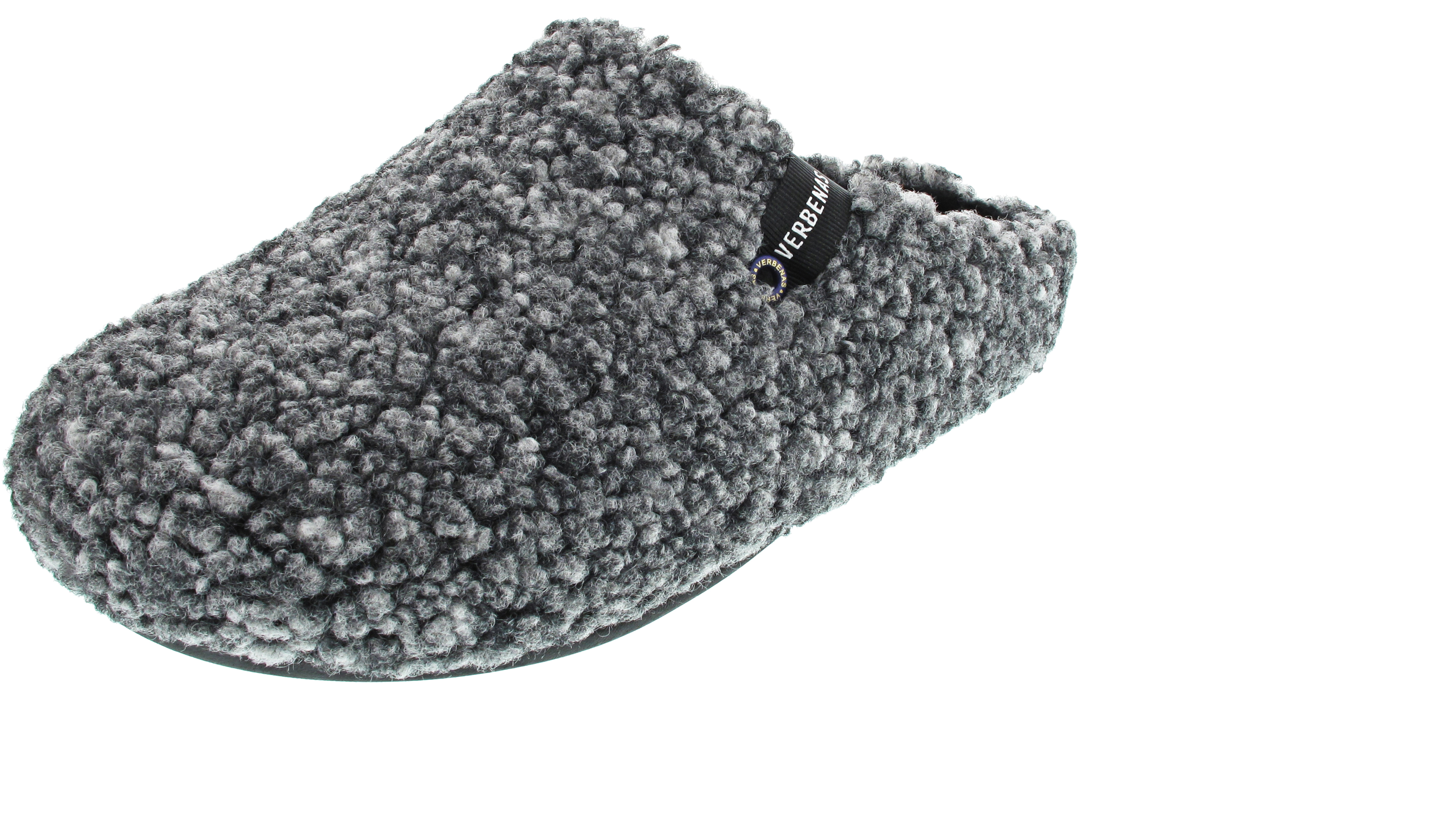 Verbenas Eagle Borrego Wash