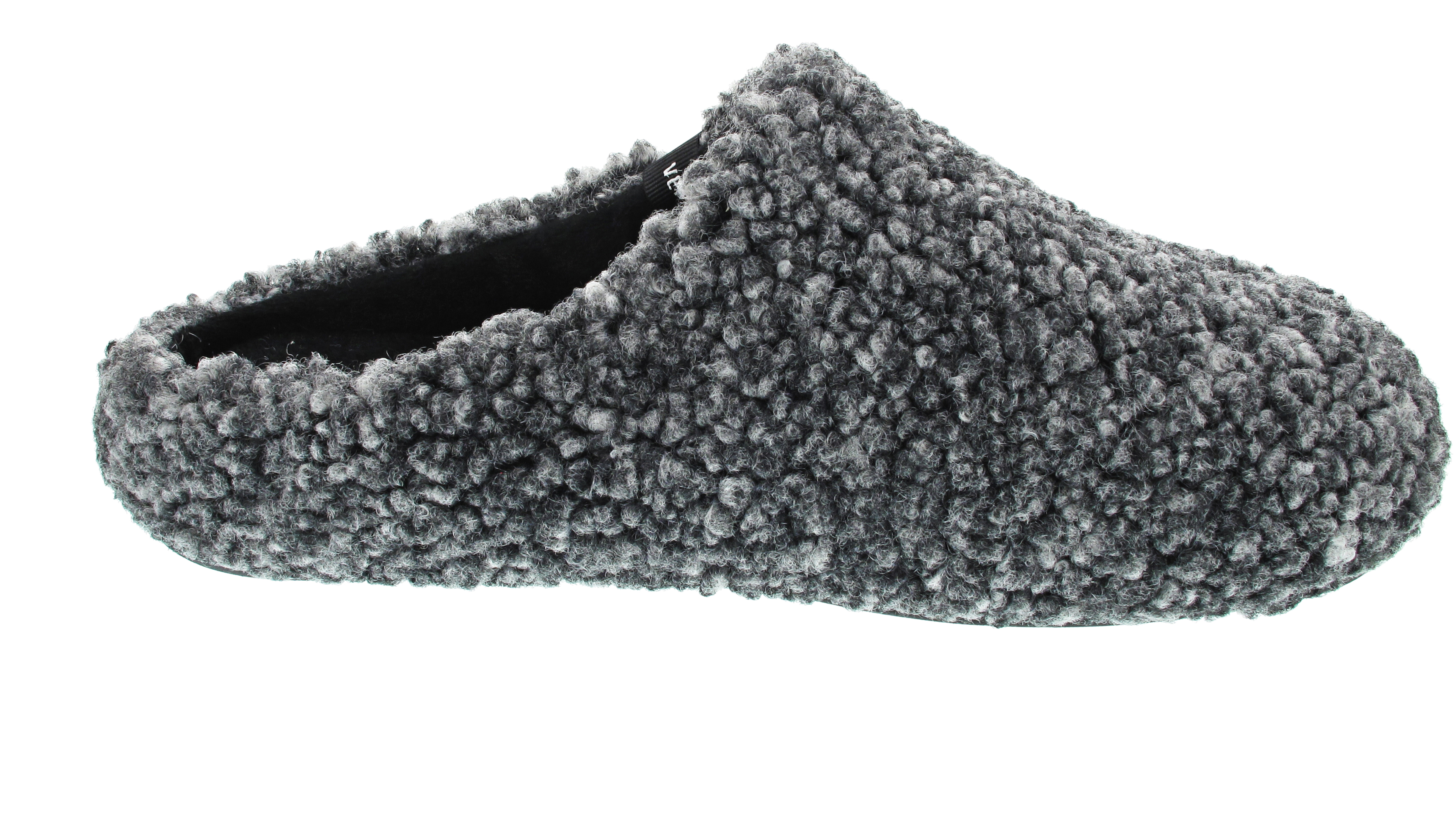 Verbenas Eagle Borrego Wash